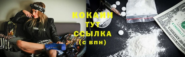 ПСИЛОЦИБИНОВЫЕ ГРИБЫ Козловка