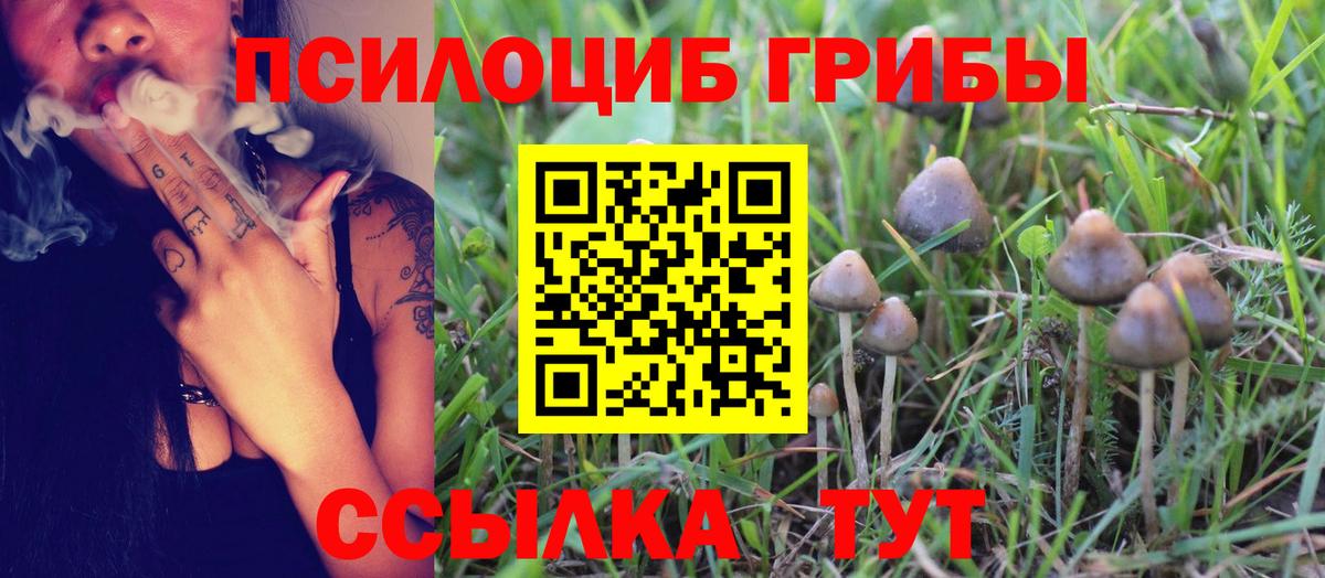 Галлюциногенные грибы GOLDEN TEACHER  Вход с VPN  Зерноград 
