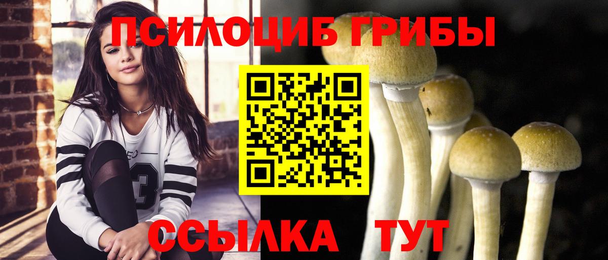 Галлюциногенные грибы GOLDEN TEACHER Зерноград